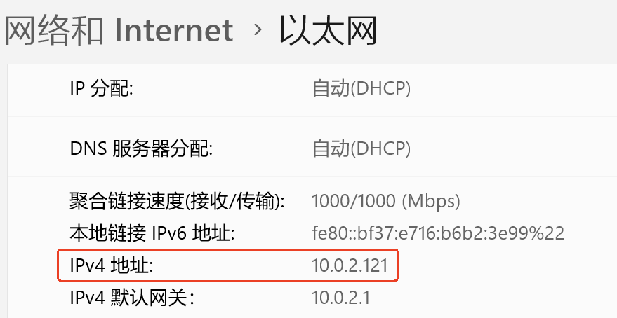 Windows Network Settings